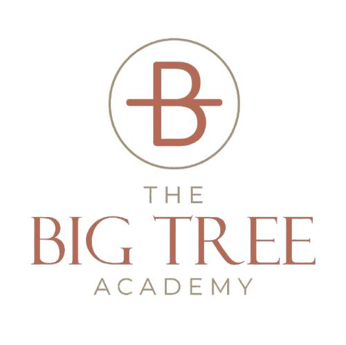 The Big Tree Academy
